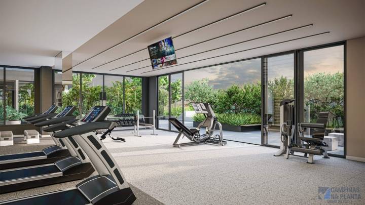 academia do Tay Vanguard em Campinas