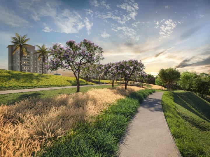 Caminho arborizado no parque do Mangará Campinas, ideal para caminhadas.