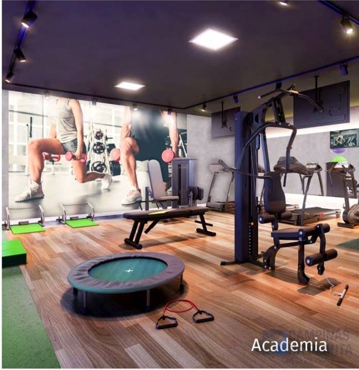academia