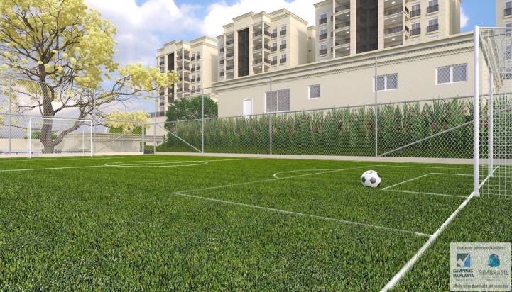 Mini Campo