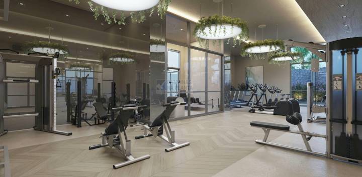 fitness