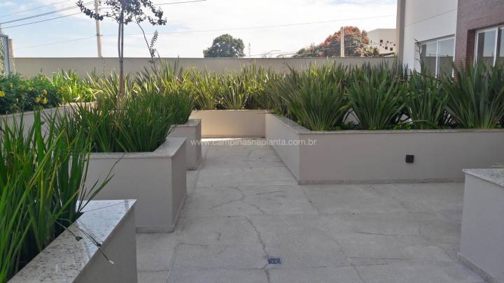 Jardim