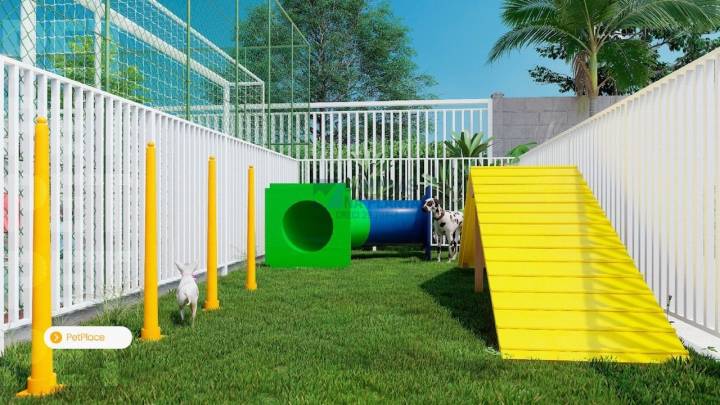 Pet Place Recanto dos Ipês - Espaço para seu pet se divertir e socializar.