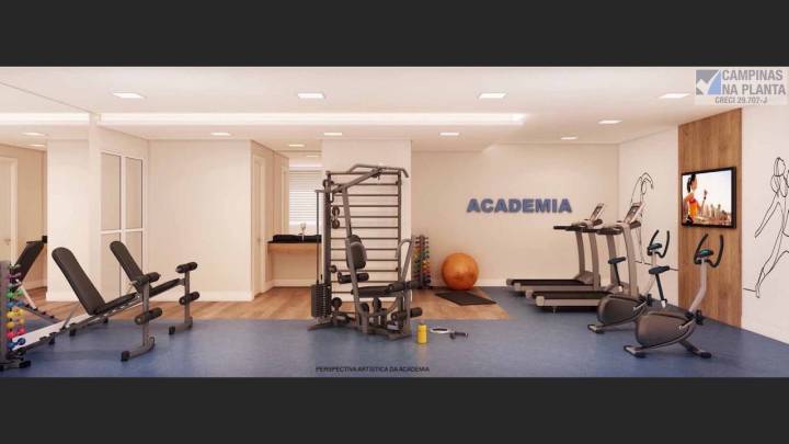 Academia